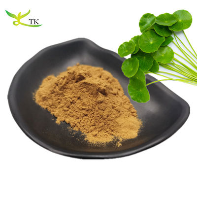 Pabrik Profesional Harga Terbaik Pasokan Gotu Kola Ekstrak 10% Total Asiaticosides Untuk Kosmetik