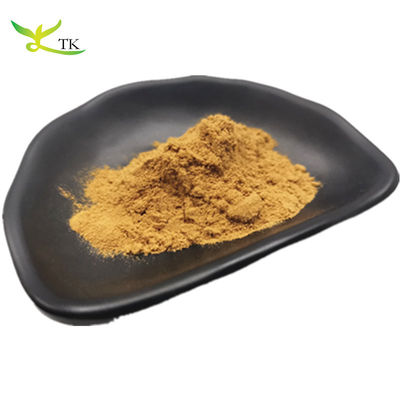 100% Ekstrak Tanaman Alami Harga Terbaik Grapefruit Seed Extract Powder Bulk