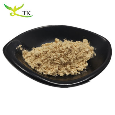 Berkualitas tinggi 100% murni alami Panax Ginseng Akar Ekstrak Ginsenosides Powder 10% ~ 80%