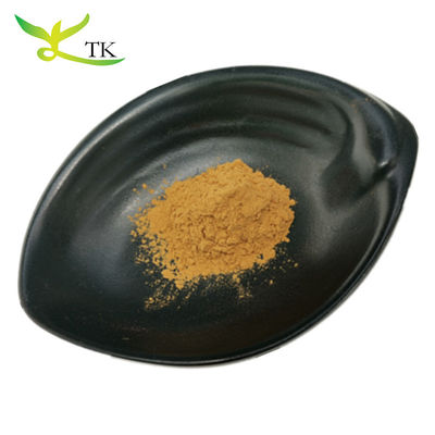 100% ekstrak herbal alami Cina ekstrak akar astragalus bubuk Huangqi ekstrak bubuk