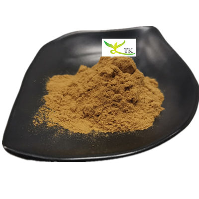 Ekstrak Akar Herbal Tradisional Cina Angelica Sinensis Bersih Bubuk Ligustilide 1%
