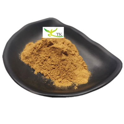 100% Herbal Tionghoa Alami Dang Gui Ekstrak Dong Quai Ekstrak Bubuk Ligustilide