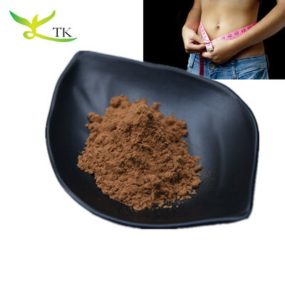 Grosir 100% alami bubuk penurunan berat badan Lotus Leaf Extract Powder 10:1 Food Grade