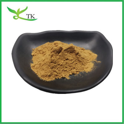 Harga Grosir Ekstrak Akar Burdock Arctiin Powder 10% 30% Suplemen Kesehatan