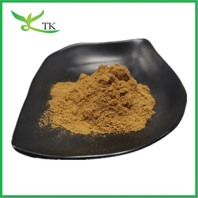 Harga Terbaik 100% Ekstrak Chaste Tree Berry Ekstrak Chasteberry Powder 10:1