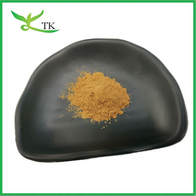 Ekstrak Polisakarida Poria Poria Alami 30% Poria Cocos Extract Powder Food Grade