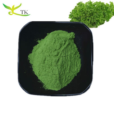 Suplemen Herbal Bubuk Super Makanan Alami 10:1 20:1 Ekstrak Kale Bubuk Bulk