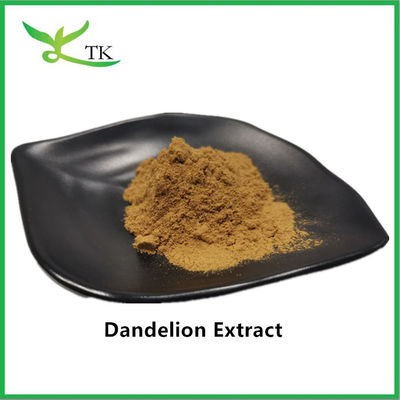Ekstrak Dandelion Alami 5% Ekstrak Akar Dandelion Bubuk Flavonoid