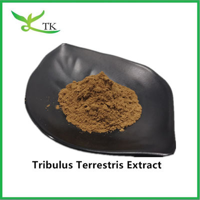 Grosir Harga Terbaik 100% Ekstrak Tribulus Terrestris Alami Bubuk Saponin 40%