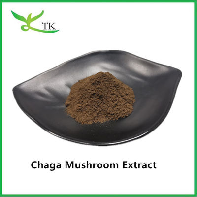 Suplemen Kesehatan Alami Ekstrak Jamur Chaga Ekstrak Bubuk Chaga Polysaccharide 20%