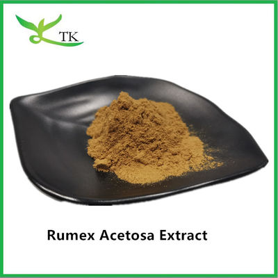 Harga Grosir 100% Ekstrak Herbal Alami Rumex Acetosa L. Ekstrak Bubuk