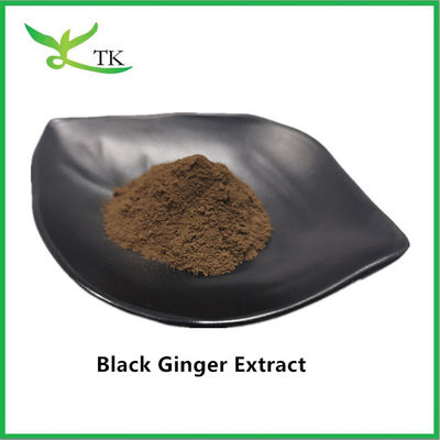 Pure Natural Healthcare Ingredient Black Ginger Extract Powder Untuk Pria
