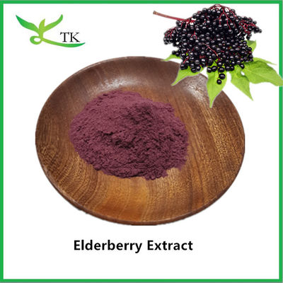100% alami ekstrak elderberry bubuk hitam elderberry ekstrak elderberry bubuk