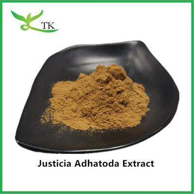 100% Natural Justicia Adhatoda Ekstrak Bubuk Adhatoda Vasica Ekstrak 10:1