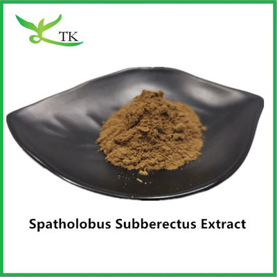 100% Ekstrak Caulis Spatholobi Alami Bubuk Ekstrak Spatholobus Suberectus