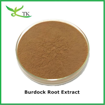 Suplemen Herbal Arctium Lappa Ekstrak Burdock Ekstrak Bubuk Larut dalam Air