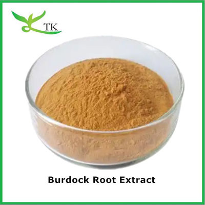 Bubuk herbal alami ekstrak akar Arctium Lappa bubuk akar Burdock