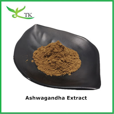 Pengobatan Ayurveda Tradisional Ginseng India Ashwagandha Ekstrak Bubuk Aswagganda Ekstrak Bubuk