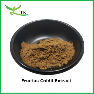 Suplemen herbal alami murni Suplemen 10:1 20:1 Ekstrak Fructus Cnidii Bubuk