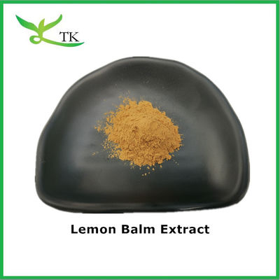 Ekstrak Lemon Balsam alami murni Lemon Balsam ekstrak kering bubuk