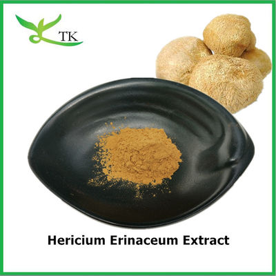 Kelas makanan murni alami Hericium Erinaceum Ekstrak Hericium Erinaceum Powder