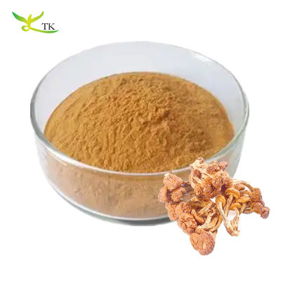 Kelas Makanan murni Pholiota alami Nameko Ekstrak Polysaccharides Powder