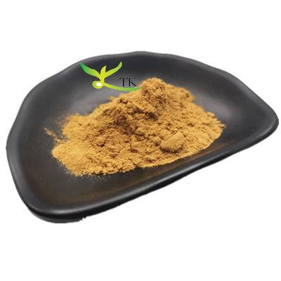 Harga Grosir Pangan Galangal Extract Galangal Root Extract Powder