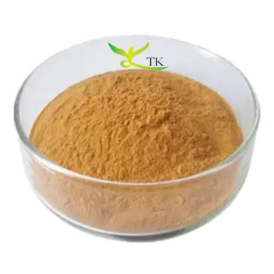 Harga Grosir 100% Ekstrak Verbascum Thapsus alami Bubuk 10:1