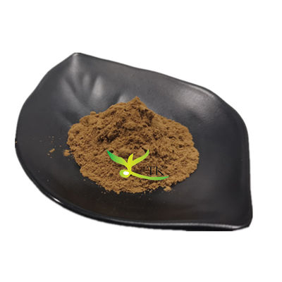 Natural Fucoidan Powder Brown Seaweed Extract Harga Fucoidan