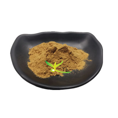 100% Bahan Makanan Alami Salsola Collina Ekstrak Salsola Collina Harga Bubuk