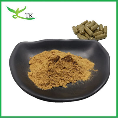 Harga Terbaik Ekstrak rumput laut alami kelp Ekstrak Fucoidan Powder