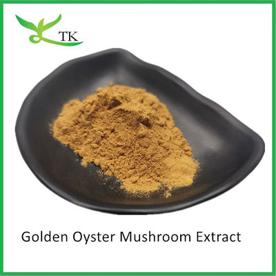 Suplemen Jamur Alami Pleurotus Citrinopileatus Golden Oyster Jamur Ekstrak Bubuk