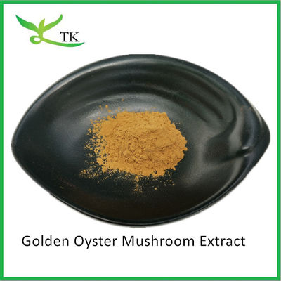 Polysaccharides Jamur Alami Pleurotus Citrinopileatus Ekstrak Bubuk Citrine Pleurotus Ekstrak
