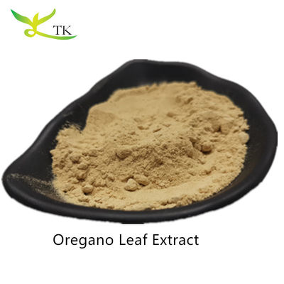 Harga Grosir 100% Ekstrak Oregano Alami Bubuk Ekstrak Daun Oregano