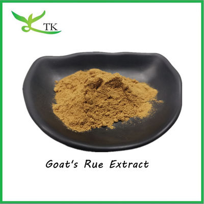 Natural Goat's Rue Extract Powder 10:1 Galega Officinalis Extract Powder Harga