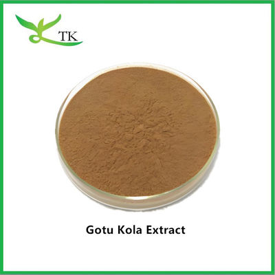 Pemasok Harga Terbaik Ekstrak Gotu Kola 20% Total Asiaticosides Untuk Kosmetik