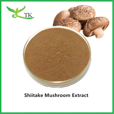 Grosir Suplemen Alami Ekstrak Jamur Bubuk Ekstrak Jamur Shiitake Harga