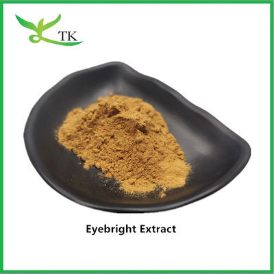 Bubuk Ekstrak Eyebright Alami 100% Food Grade Bubuk Eyebright Harga Grosir