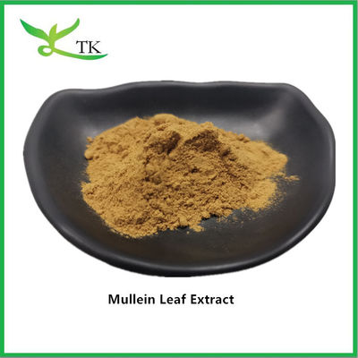 Ekstrak Tanaman Alami Suplemen Verbascum Thapsus Mullein Leaf Extract Ekstrak Verbascum Thapsus Bubuk