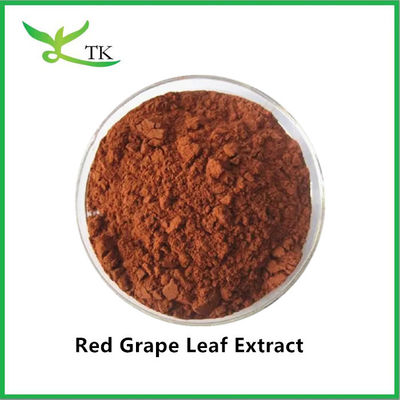 Food Grade 100% Natural Red Grape Leaf Extract Powder Grapevine Extract