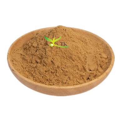 Ekstrak Tanaman Alami Platycladus Orientalis Leaf Extract Powder Untuk Perawatan Rambut