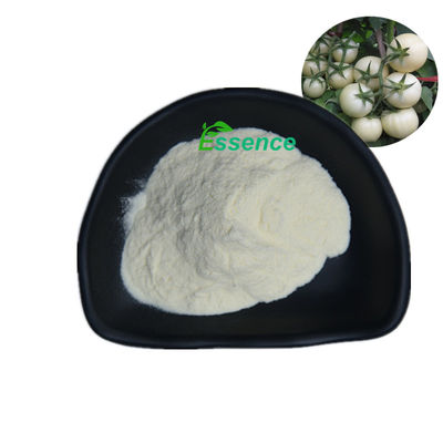 Bubuk Ekstrak Tomat Putih Solanum Lycopersicum Food Grade Alami 10:1 20:1