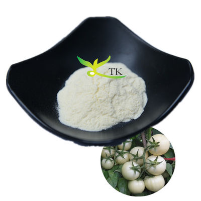 Penjualan panas 100% Solanum Lycopersicum alami bubuk tomat putih 10:1 20:1