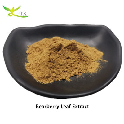 Ekstrak Tanaman Alami Ekstrak Daun Bearberry Ekstrak Daun Arctostaphylos Uva Ursi Bubuk