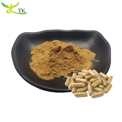 TCM alami Jie Geng Ekstrak Balloonflower Root Ekstrak Platycodon Root Ekstrak