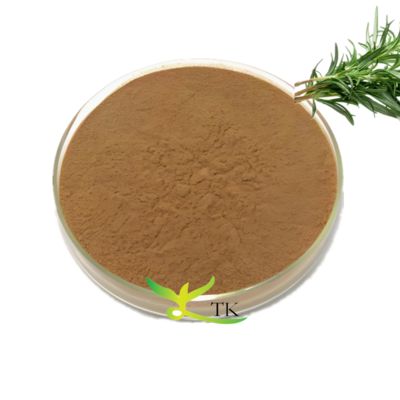 Ekstrak Tumbuhan Alami 10% 50% Bubuk Ekstrak Daun Rosemary Asam Ursolat Ekstrak Daun Rosemary