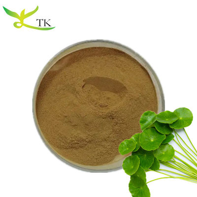 17 Tahun Pabrik Supply Gotu Kola Ekstrak 10% Total Asiaticoside Powder Dalam Bulk