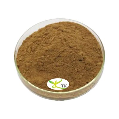 Bubuk Ekstrak Tanaman Alami Food Grade Bubuk Ekstrak Hyssop 4:1 10:1 Ekstrak Hyssopus Officinalis
