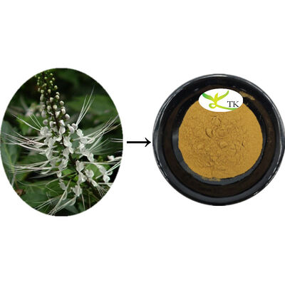 Ekstrak Alami Orthosiphon Aristatus, Bubuk Ekstrak Daun Orthosiphon, Pembersih Kalkulus