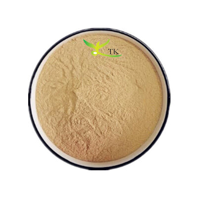 Harga Grosir Natural Snow Lotus Extract Snow Lotus Herb Extract Bulk